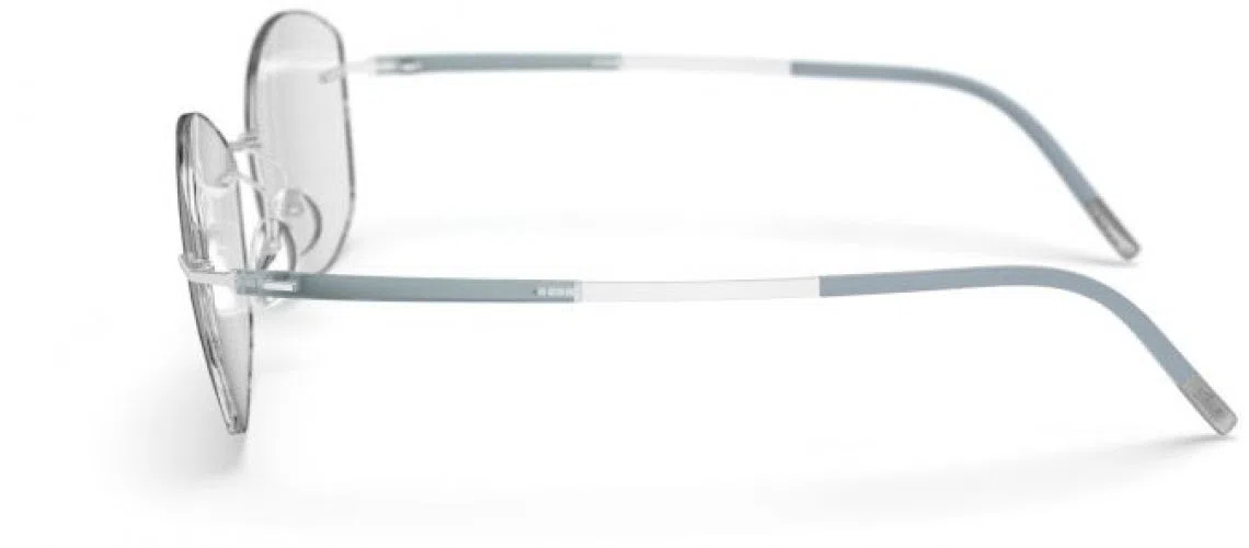 Silhouette Titan Dynamics Contour Demo Rimless 5540 Eyeglasses - view 45